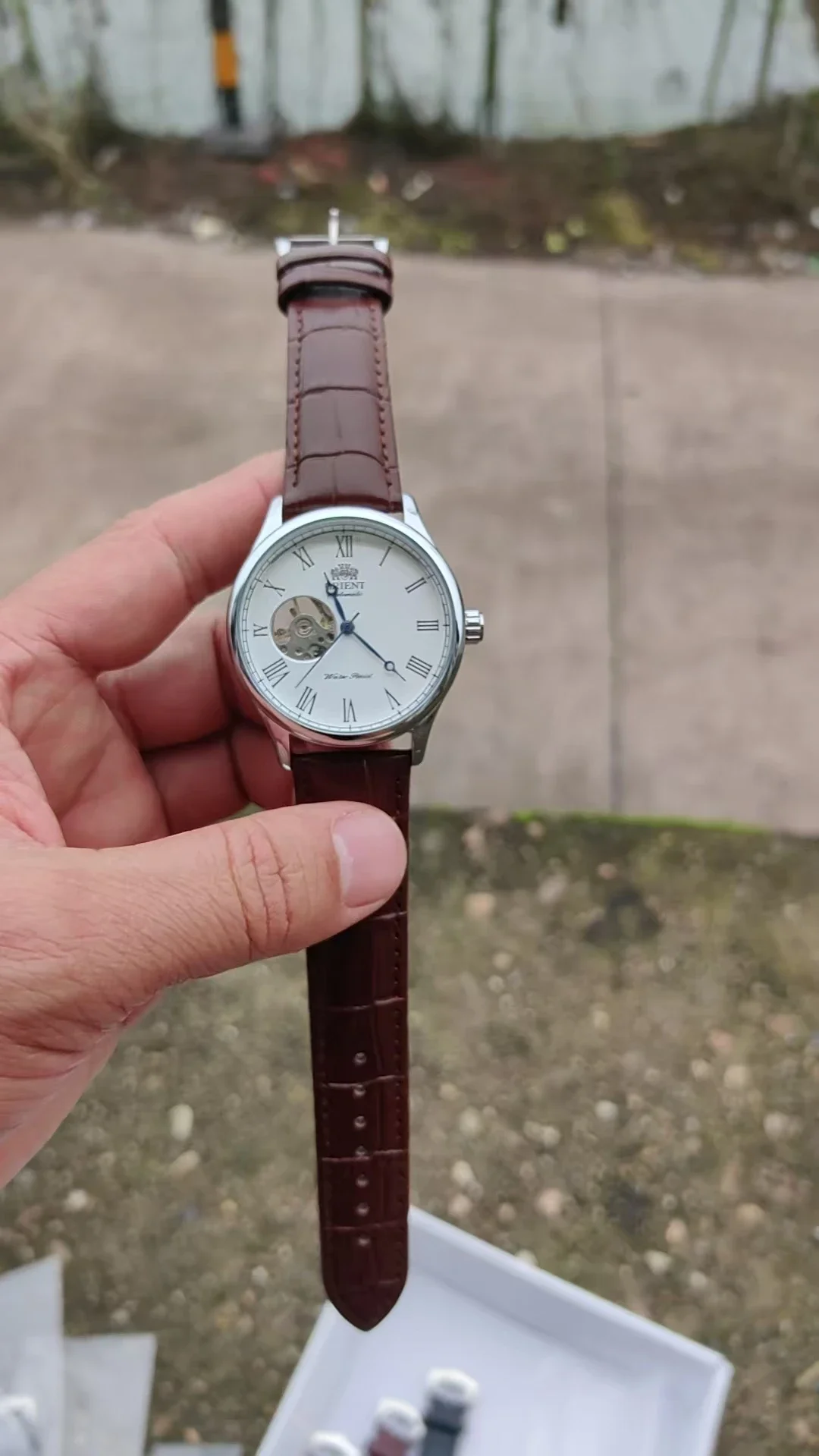 Seiko Watch Presage - DFDG 기계식 스켈레톤 시계, 모든 기능