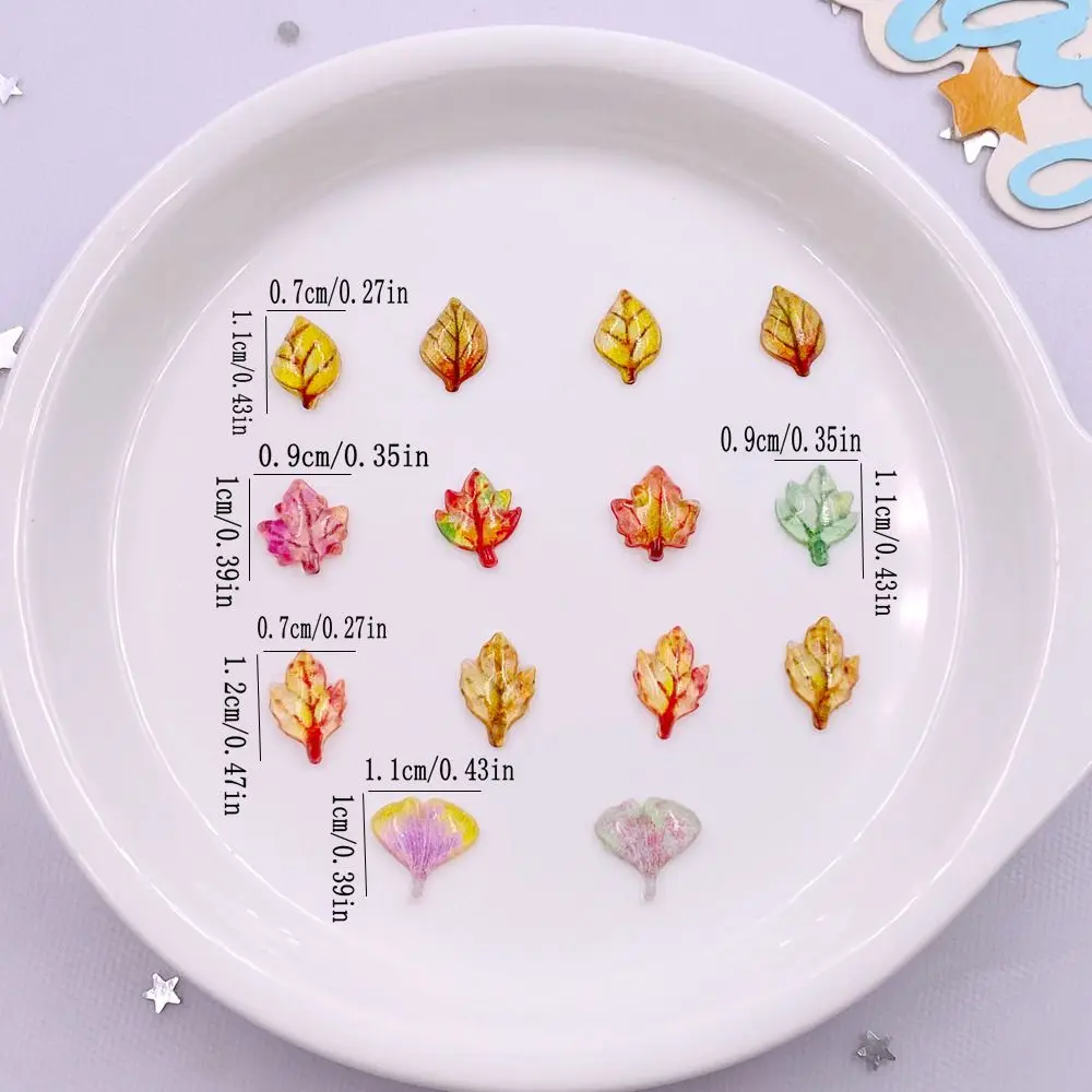 50pcs 혼합 수지 미니 크리스탈 다채로운 단풍 나무 - Paradise Jewelry & Watches Llc Miami Photos 리뷰 및 가격