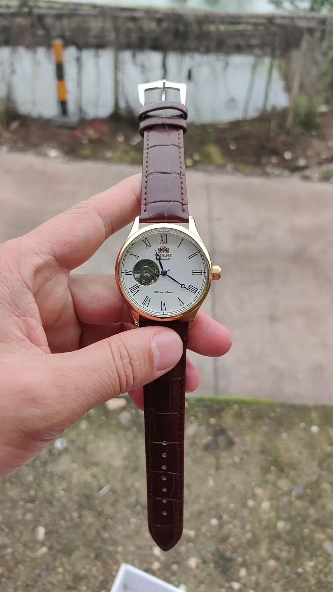 DFDG 기계식 스켈레톤 시계, 모든 기능 탑재, 월드 - Seiko Watch Presage 리뷰 및 가격