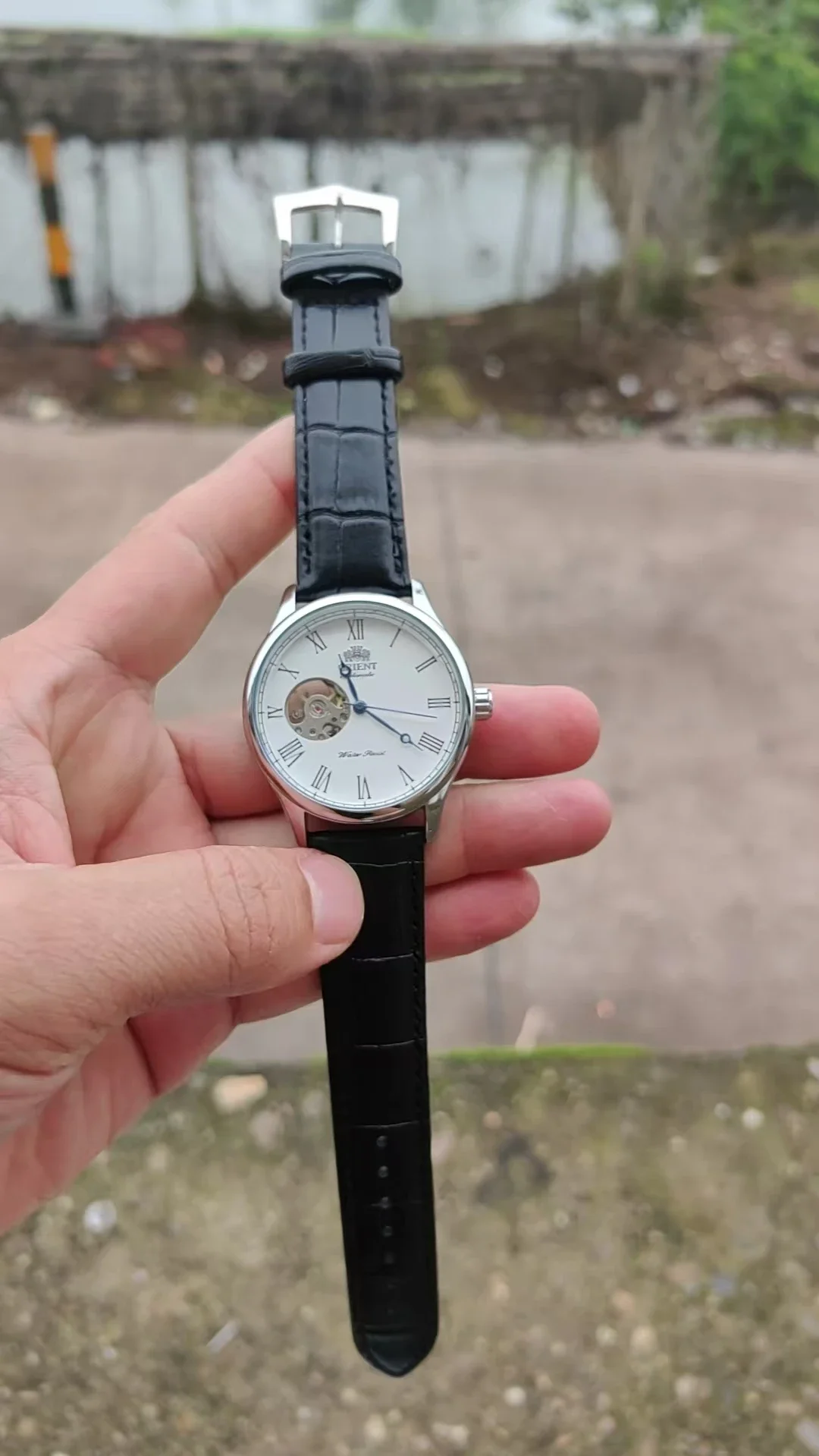 DFDG 기계식 스켈레톤 시계, 모든 기능 탑재, 월드 - Seiko Watch Presage 리뷰 및 가격